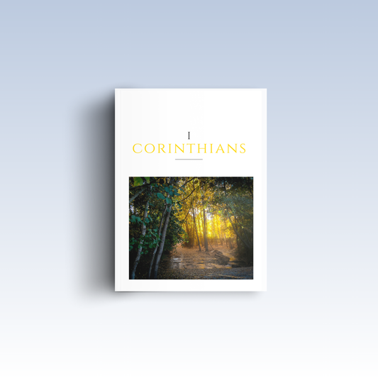 1 Corinthians: A Call to Unity and Holiness